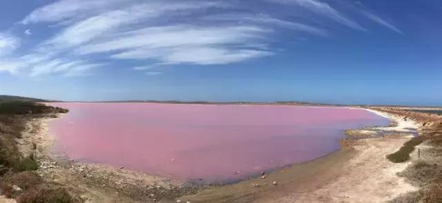 西澳珀斯游记,西澳游记攻略