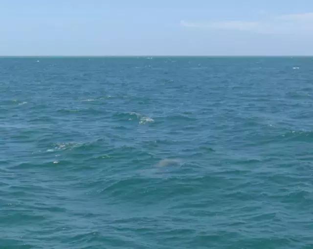 西澳珀斯游记,西澳游记攻略