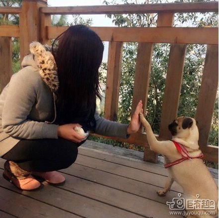 濮戝涓嶈鏀惧純浣犵殑鍔姏,濮戝涓嶈鏀惧純甯屾湜