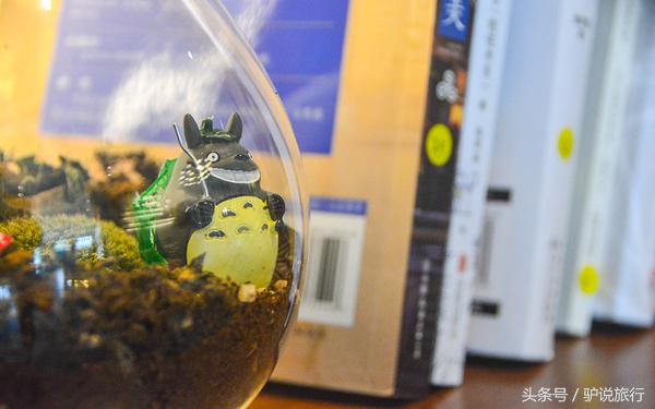 苏州旅游蜜月,苏州蜜月旅行