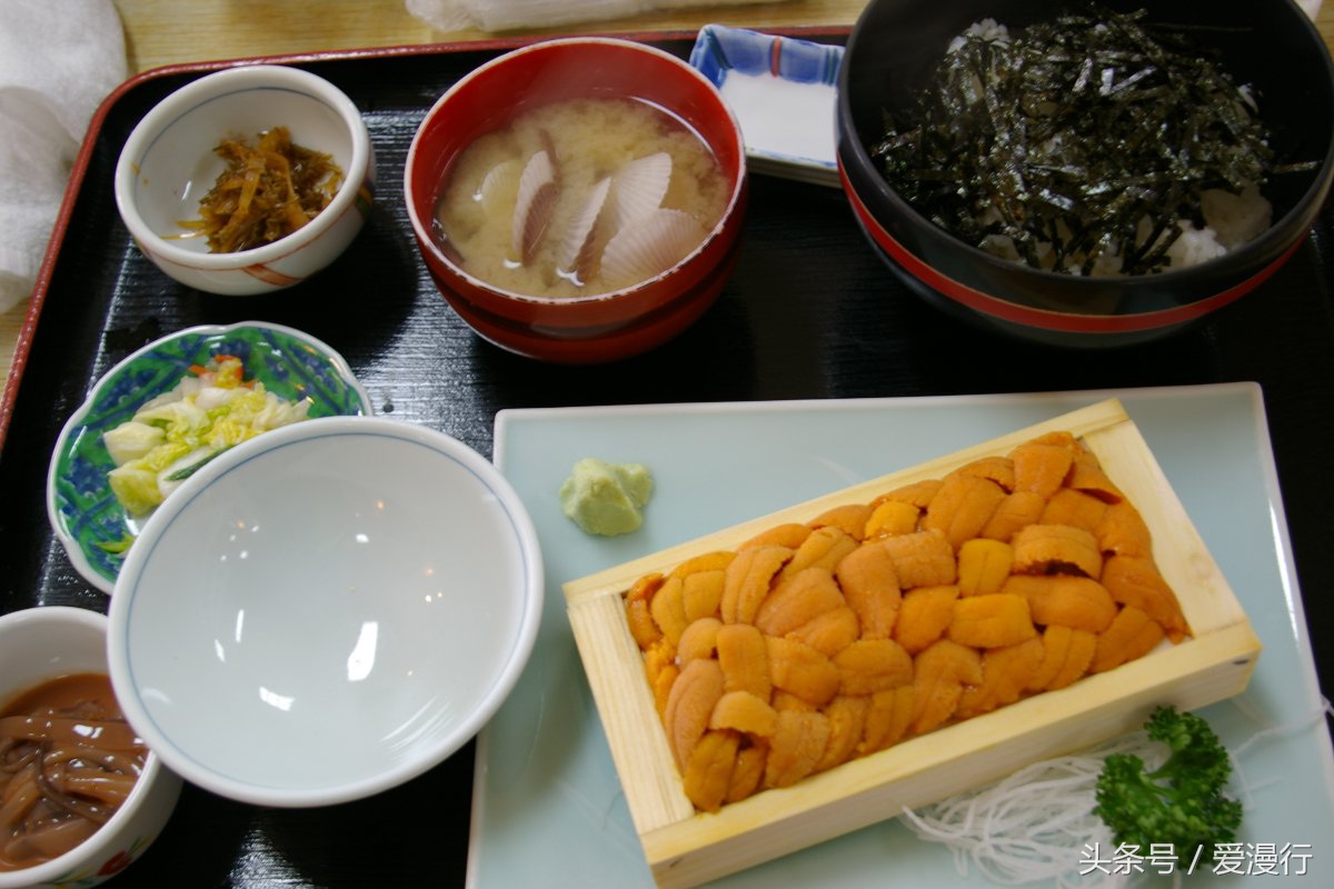 一封来自小樽的情书完整版,吃货小情书