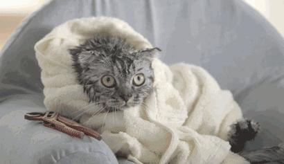 不节食不动刀也能瘦成闪电,不用锻炼不用节食就能瘦的办法