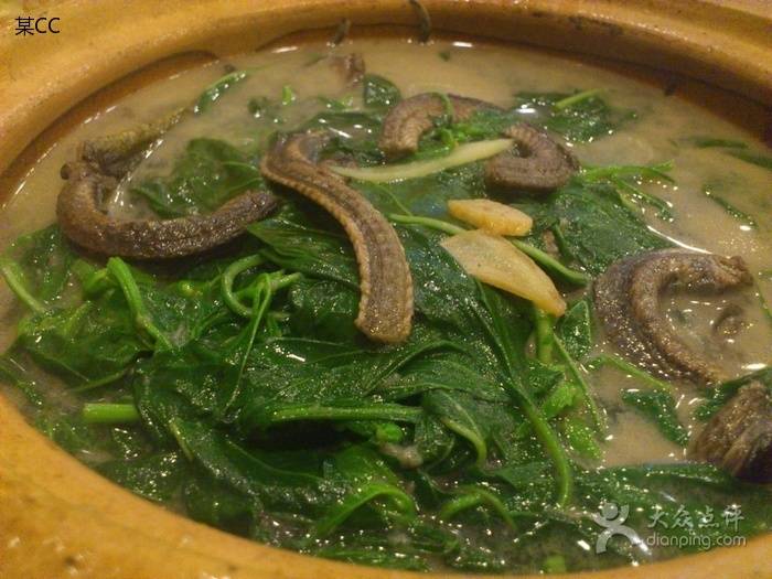 你不知道的深圳老字号养生汤馆，夏日必吃