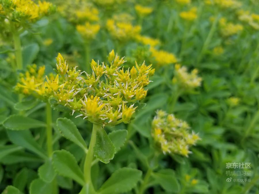 荣耀麦芒9值不值得买,荣耀平板9值不值得购买