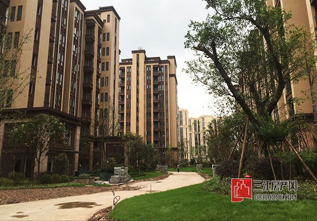 拿地很久的楼盘能买吗,拿地后一直不动工