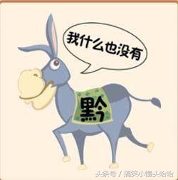 感谢农民伯伯！新培育的美女性感水萝卜！