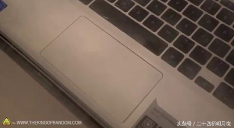 液氮冷冻生物复活,被液氮冻住能复活吗