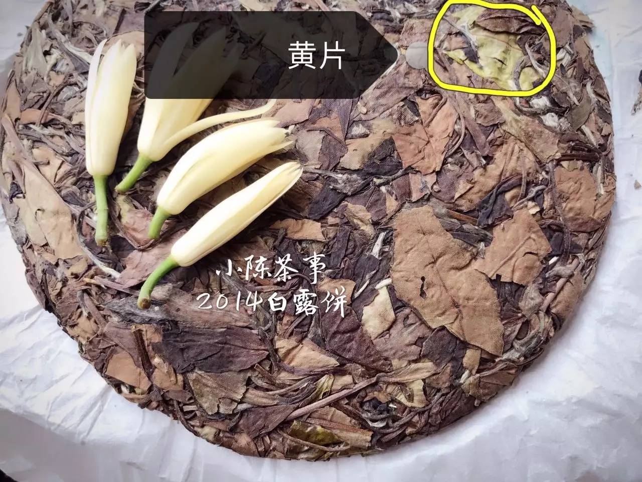 新人买白茶从3个方面入手可避坑,新手入门怎么买白茶杯好