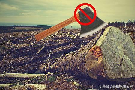 木材贸易有关政策,木材进口贸易发展规划