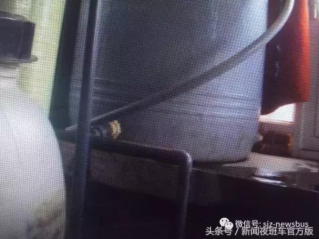 山泉水为什么最便宜,那些便宜的山泉水干净吗