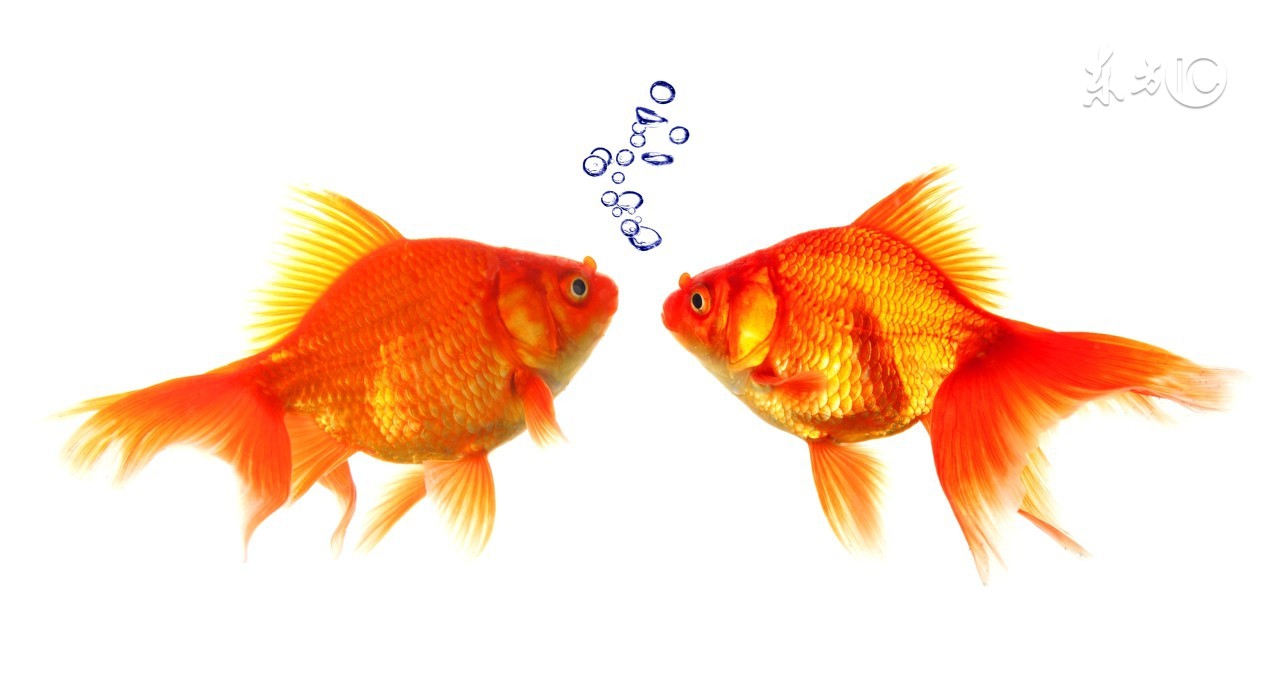 拉丝粉加多了不雾化了怎么办,拉丝粉加多太粘怎么办