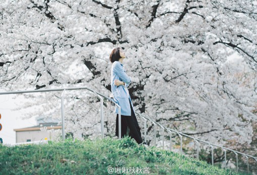 曾经许诺一起过独木桥，如今，你却要我独自过奈何桥