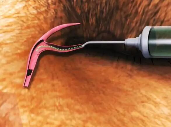 为何它眼旁常有泪痕，不要以为它是爱你爱得深沉！