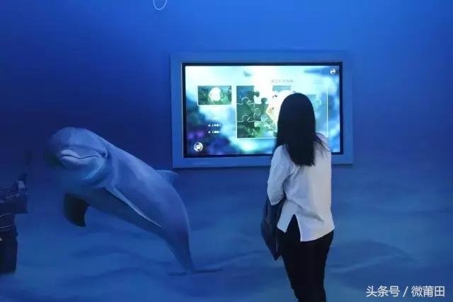 莆田首家智能化海洋体验馆,莆田海洋文化主题体验馆