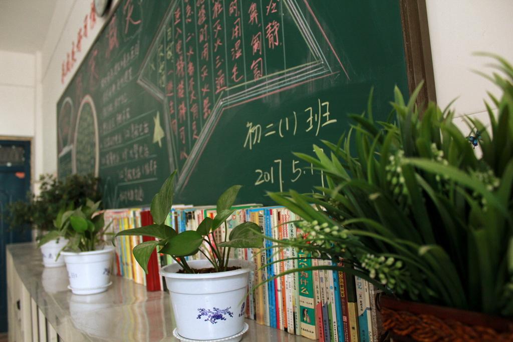 从小到大从弱到强的奋斗历程,从小到大从弱到强