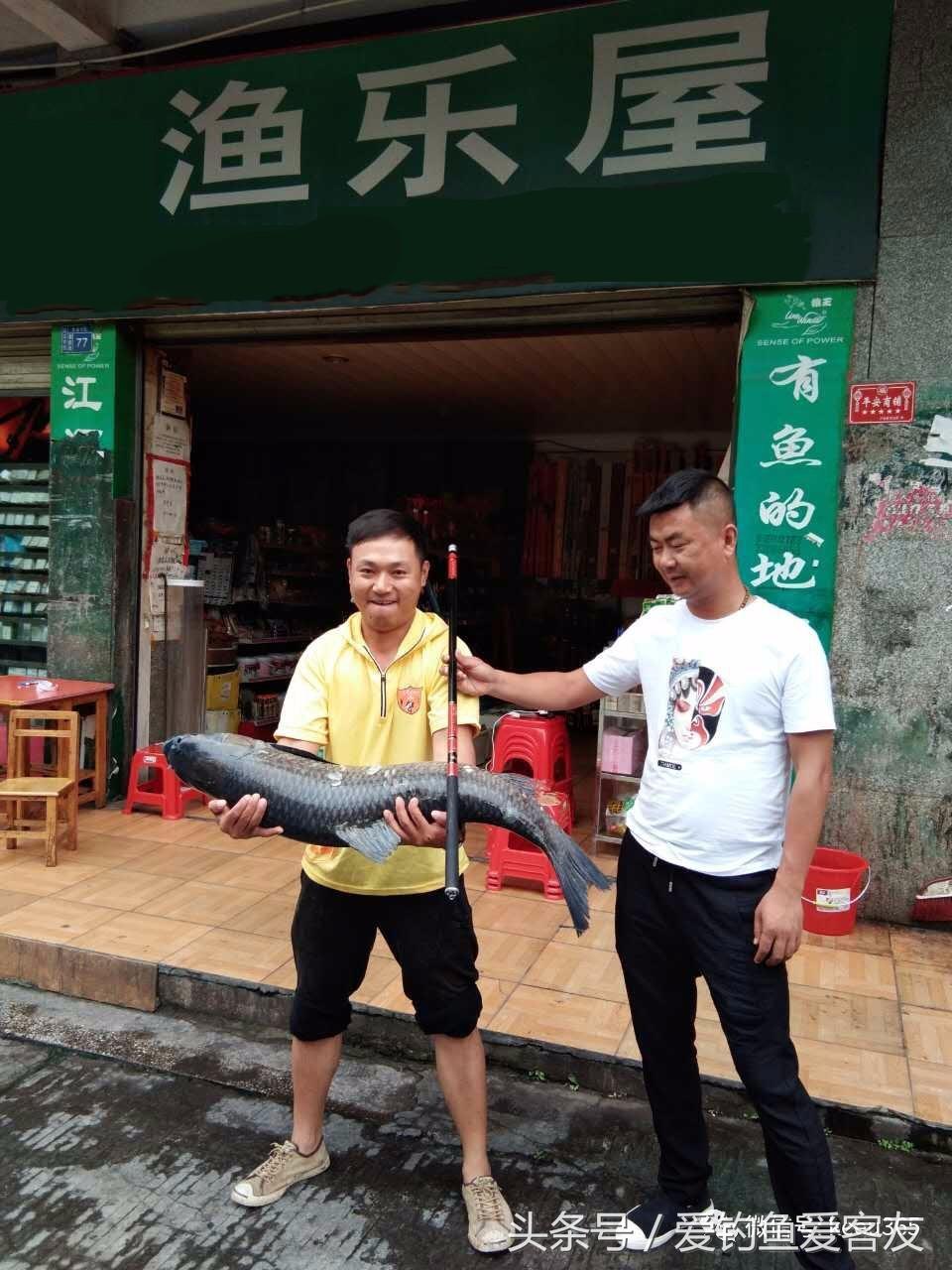 客友华夏鲤7号怎么样,客友华夏鲤鱼竿