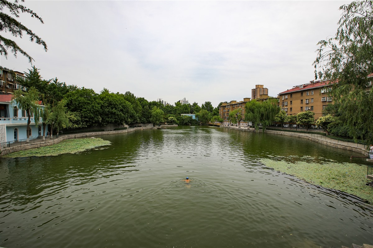 济南有哪些合唱团,济南泉城合唱团