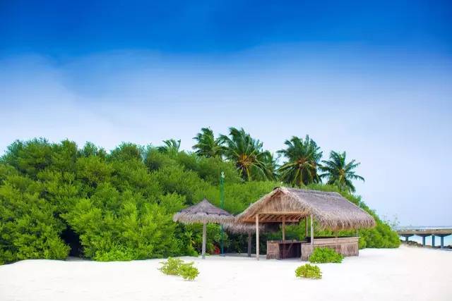 谁说带着娃就不能度蜜月？｜你没见过的马尔代夫游记