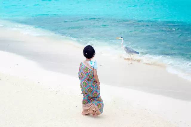 谁说带着娃就不能度蜜月？｜你没见过的马尔代夫游记