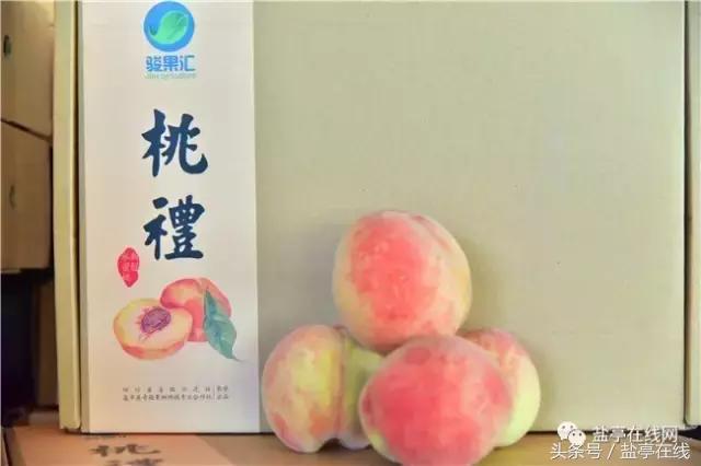 林农奇骏农业这里的桃子吃起来就像小时候的味道，忘不了……