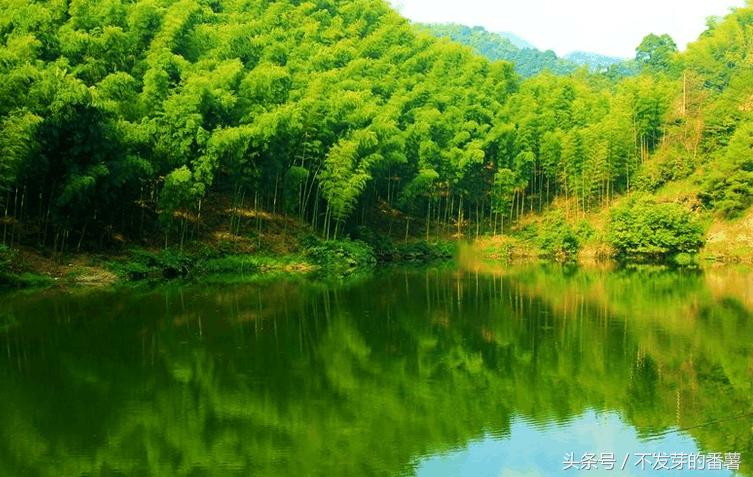 全国唯一米型高铁站,中国唯一一座乡村高铁站