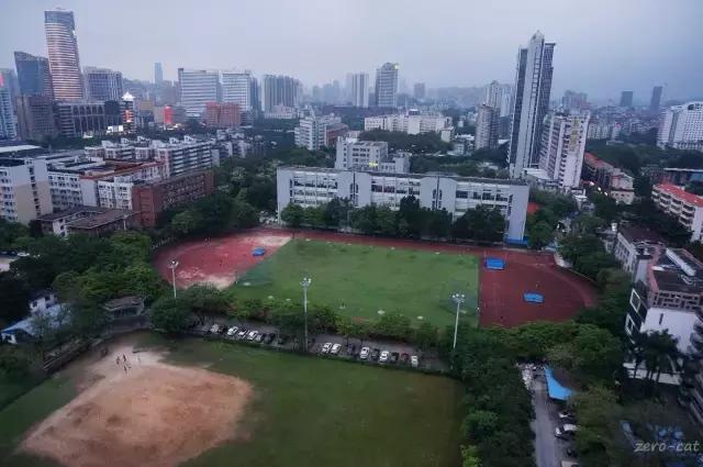 林和西还能出去吗 (林和西视频)