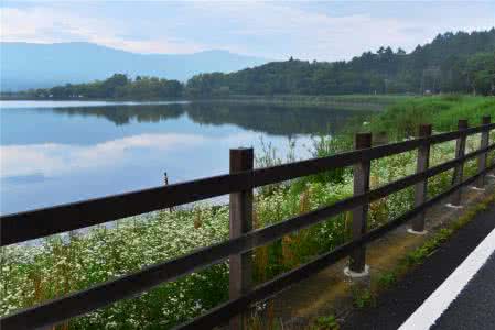 “*战野**”你到底会不要？是不是一直在孤战？