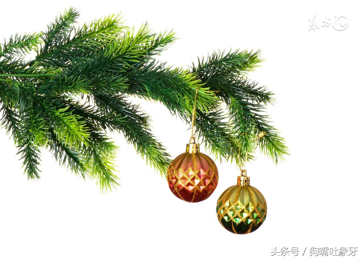 几单就出排名?从卖家发布任务的灵活度谈愿望树中期大改版的新玩法