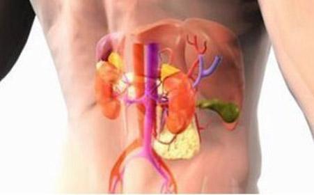 2岁开始肾病综合征能根治吗,肾病综合征膜性肾病能根治好吗