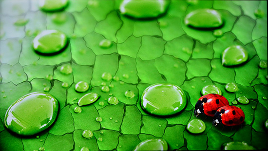 富士康夏普60寸哪款好,富士康axi设备