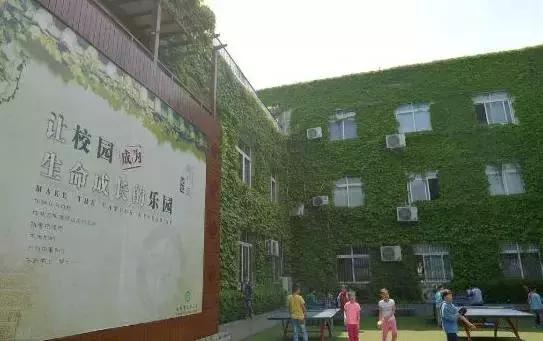 成都名校地理｜吃在玉林，玩在玉林，学在玉林！玉林是一座处处皆名校的“城”