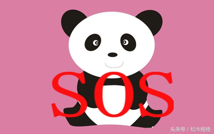 rh阴性熊猫血事件科普,熊猫血rh突然变阳性是怎么回事