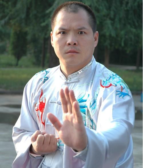 太极推手王战军完整版,王战军太极十三式完整版