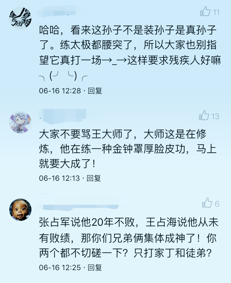 太极推手王战军完整版,王战军太极十三式完整版