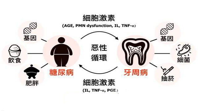 牙周病经久不愈要注意了,你可能是得了糖尿病!