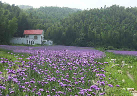 南昌市旅游景点大全一览表,南昌市旅游景点大全