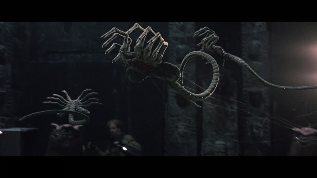 异形未知生物真实存在,异形是真实存在的吗