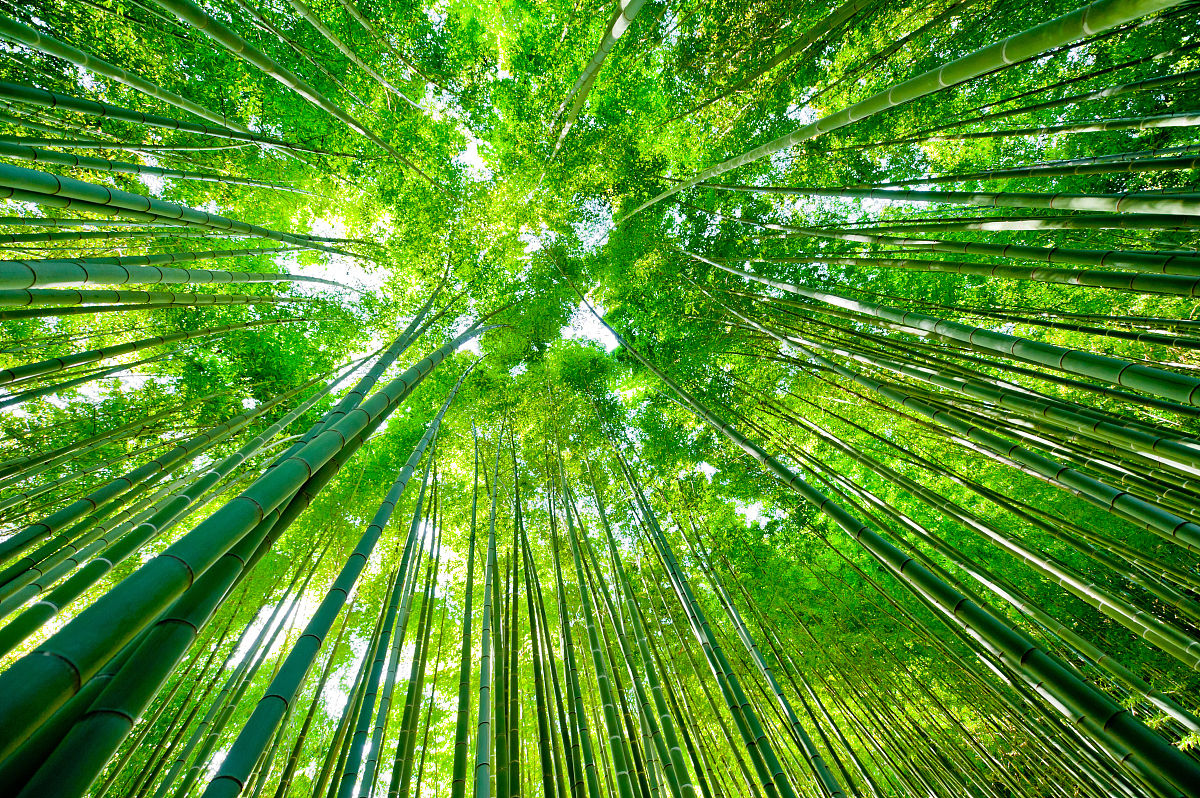 一站式解释,一站式使用技巧