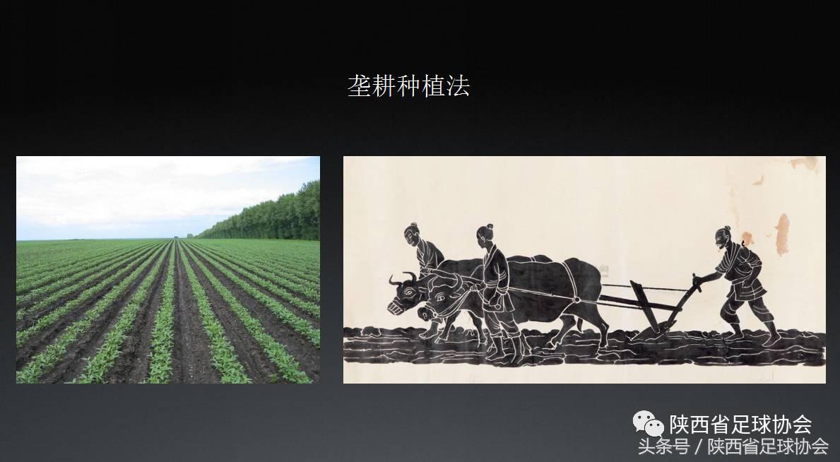 足球改革丨实现办公无纸化陕西足协步入移动智能办公时代