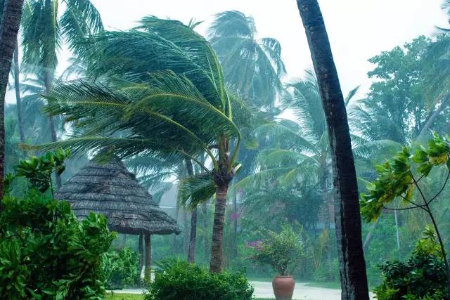 谁说带着娃就不能度蜜月？｜你没见过的马尔代夫游记