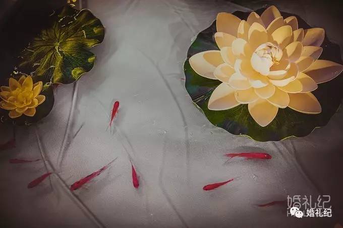 新中式婚礼需要多少钱,最豪华的新中式婚礼