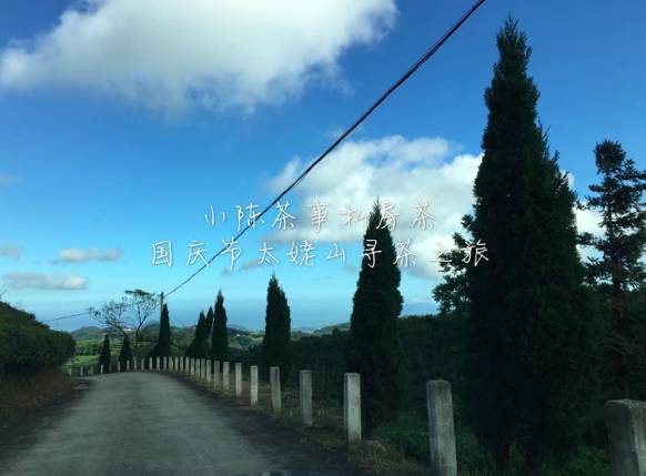 新人买白茶从3个方面入手可避坑,新手入门怎么买白茶杯好