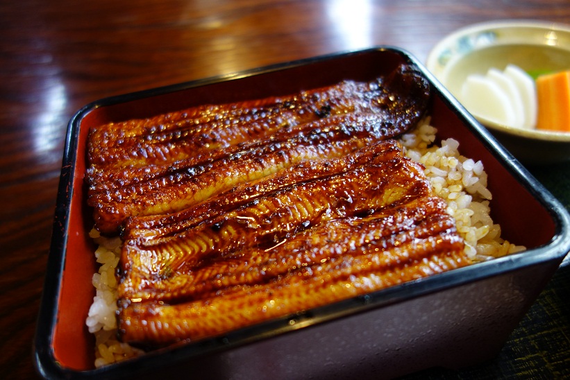 鳗鱼盖饭只有一碗，但是鳗鱼刀却有五种！日本菜刀种类介绍（二）