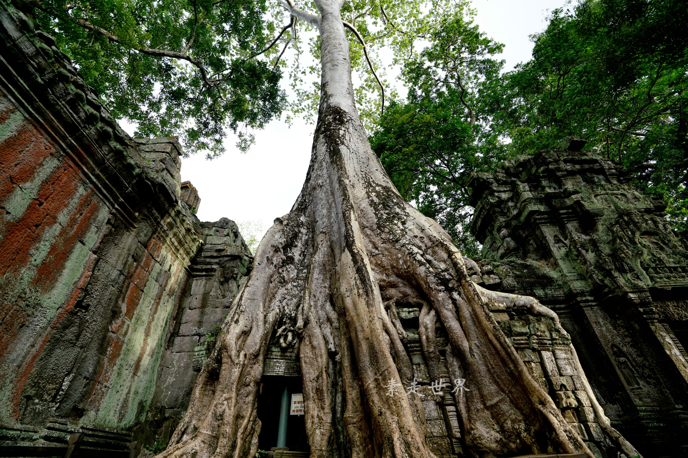 柬埔寨暹粒除了吴哥窟还能去哪？抛几个小众方式让你措手不及！