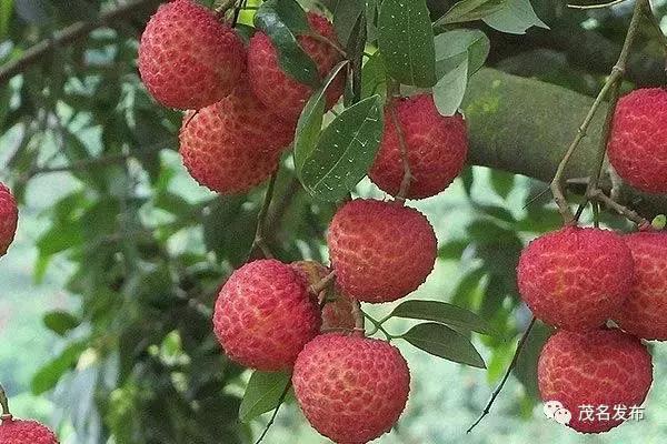 楂樺窞鑽旀灊鐢靛晢,楂樺窞鑽旀灊鐢靛晢甯傚満钀ラ攢鏂规