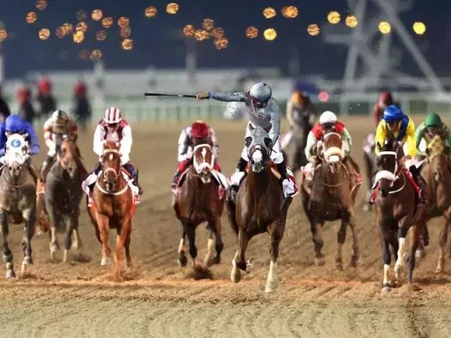 卓越与奢华的代名词—迪拜