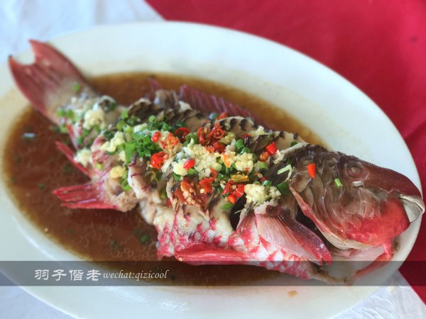 塞舌尔哪个海岛最好玩,最美的海岛塞舌尔