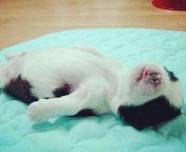 拒绝尬聊100句话,拒绝尬聊啥意思