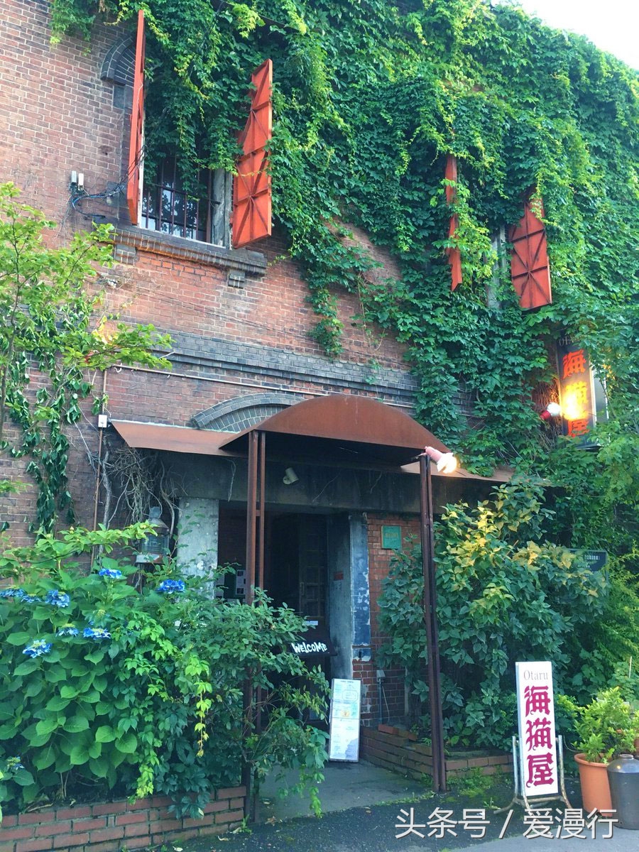 一封来自小樽的情书完整版,吃货小情书