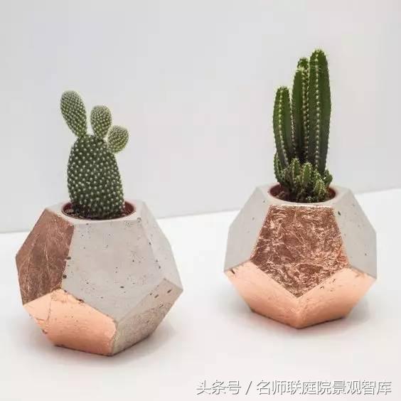 善于藏拙才是大智慧,藏拙和大智若愚